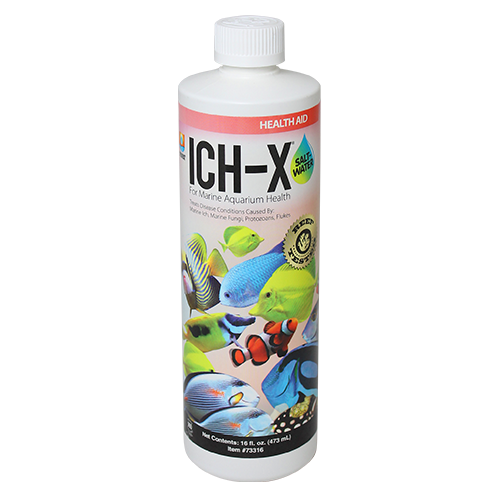 Hikari Ich-X 16 Saltwater