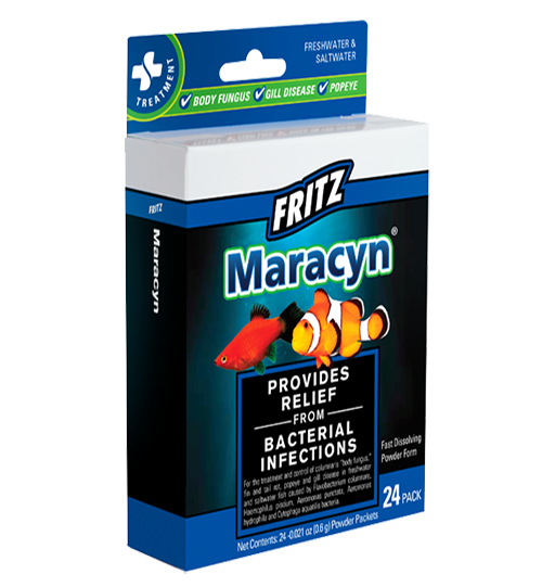 Fritz Maracyn 24