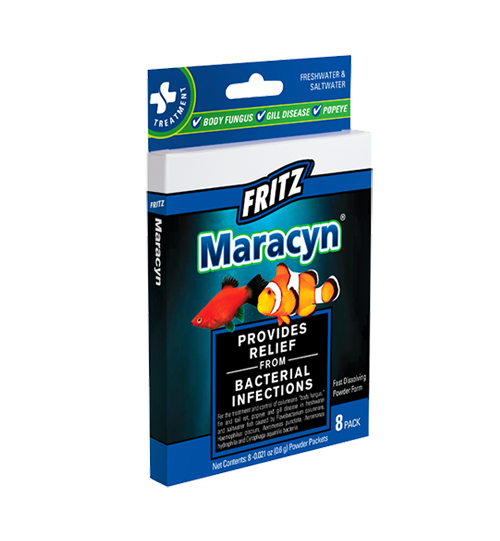 Fritz Maracyn 8