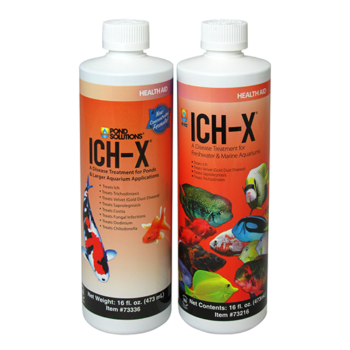Hikari Ich-x 16 Freshwater